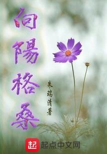 无泪之心
