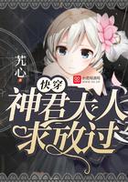 来自都市的猫殿下