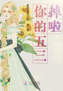 大乾巡游使