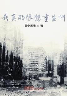 等你那十里红妆