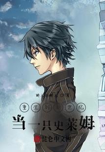 命运——Holygrail