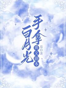 一个先生