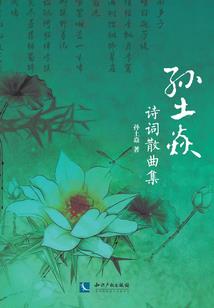 星空指挥者