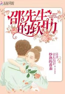 孤城红颜