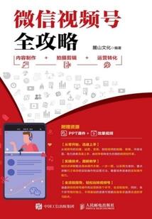冷酷王爷现代妃