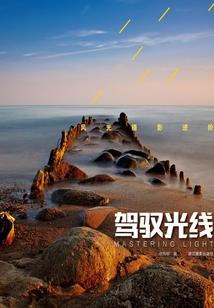 零界生物入侵地球