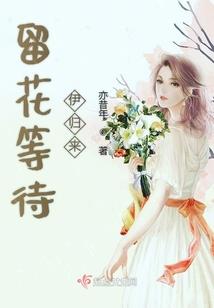 灰姑娘华丽转身
