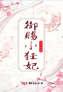 狐引六世