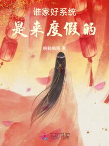 重生之王牌机师