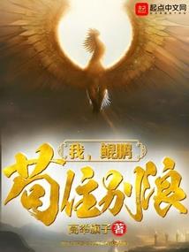 星语乾坤