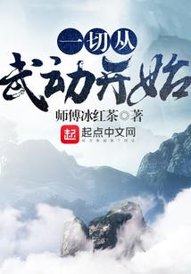 雁雪纷飞