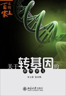 晴天娃娃里面的秘密