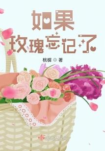 圣灵骑士团