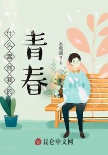 警花凤玲珑