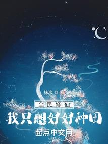 迷镇——深叶镇
