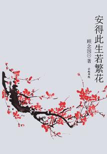 何忆流年