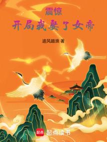 节妇 第四册