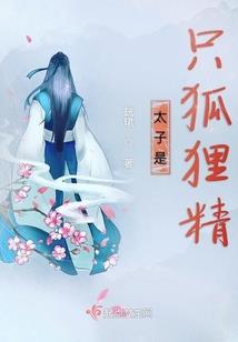 大宋谜案录