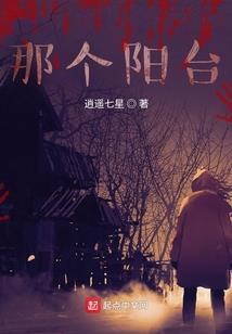 机长之路