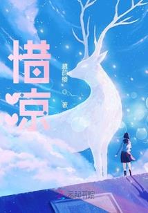 吸血鬼骑士之玖兰陌