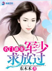 虚伪的纯洁