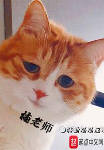 比熊不是小能
