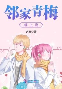 双魂骑士