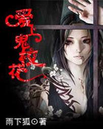 飘渺仙迹