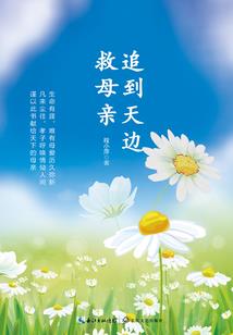 魇饵盗灵
