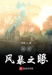 无限之传奇盗贼