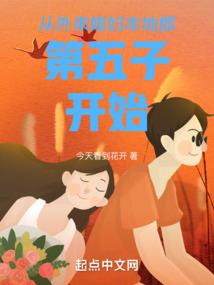 全职高手之十年荣耀
