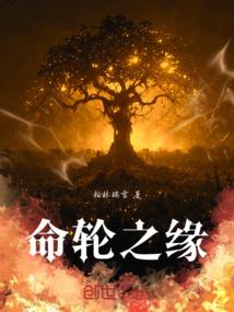 自由骑士：销声匿迹
