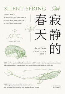 被时光掩盖的秘密