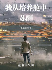 咸鱼登上金銮殿