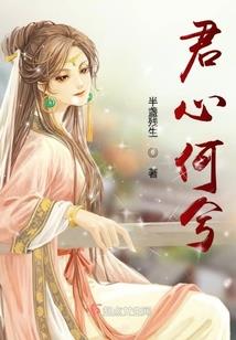 风云龙狼传