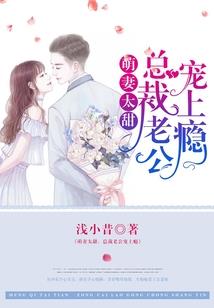 将女相夫