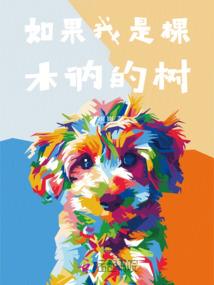 维和官的宇宙之旅