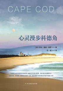 重生打卡一万次，开启进化之旅