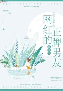 神奇宝贝之月影光辉