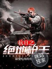 海贼王之为父传奇