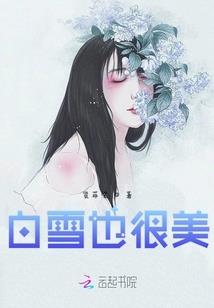 穿越之征服天下