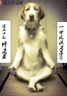 花明花暗，隐痛轮回