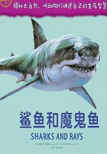 落梅劫