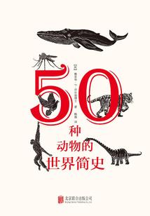 王导传奇