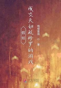 宠物小精灵之游