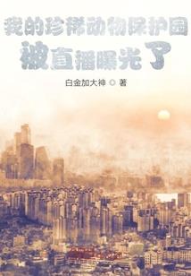 另类网修