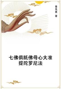 无尘圣子