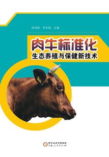 斗龙战士之薰衣草的爱恋