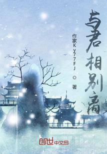 神二代与猫