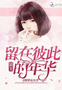 晶码战士之风起云涌